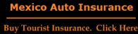 Mexico Insurance